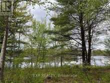 LOT 8 CASSON TRAIL | Renfrew Ontario | Slide Image One