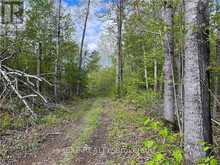 LOT 8 CASSON TRAIL | Madawaska Valley Ontario | Slide Image Eight