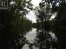 BUTTERNUT ISLAND | Beachburg Ontario | Slide Image Seventeen