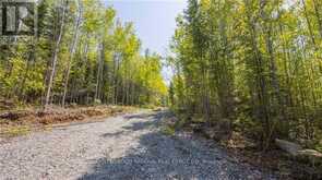 38986A COMBERMERE ROAD | Madawaska Valley Ontario | Slide Image Eighteen