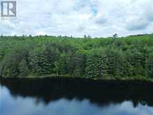 00B OTTER LAKE TRAIL BED TRAIL | Barrys Bay Ontario | Slide Image Two