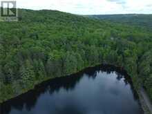 00B OTTER LAKE TRAIL BED TRAIL | Barrys Bay Ontario | Slide Image Five