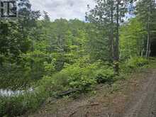 00B OTTER LAKE TRAIL BED TRAIL | Barrys Bay Ontario | Slide Image Eight