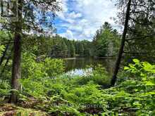 00 ROUND LAKE ROAD | Killaloe, Hagarty and Richards Ontario | Slide Image Twenty