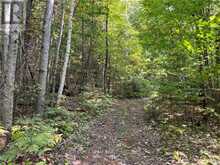 0 CONSTANT LAKE ROAD | Bonnechere Valley Ontario | Slide Image Twenty-four