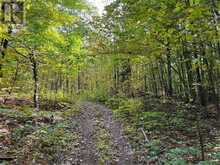 0 CONSTANT LAKE ROAD | Bonnechere Valley Ontario | Slide Image Twenty-six