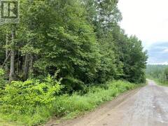 MOUNT SAINT PATRICK ROAD Admaston Ontario, K0J 1N0