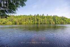 00 LOWER SPRUCE HEDGE ROAD | McNab/Braeside Ontario | Slide Image Three