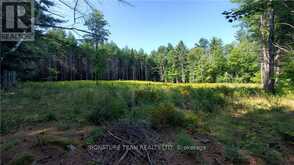 20185 HIGHWAY 60 | Madawaska Valley Ontario | Slide Image Ten