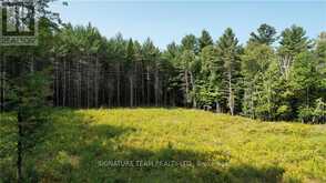 20185 HIGHWAY 60 | Madawaska Valley Ontario | Slide Image Twelve