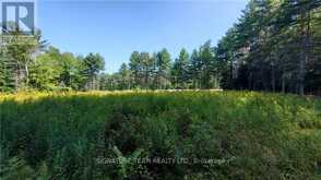 20185 HIGHWAY 60 | Madawaska Valley Ontario | Slide Image Nine