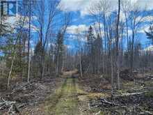 DORE BAY ROAD | Pembroke Ontario | Slide Image Five