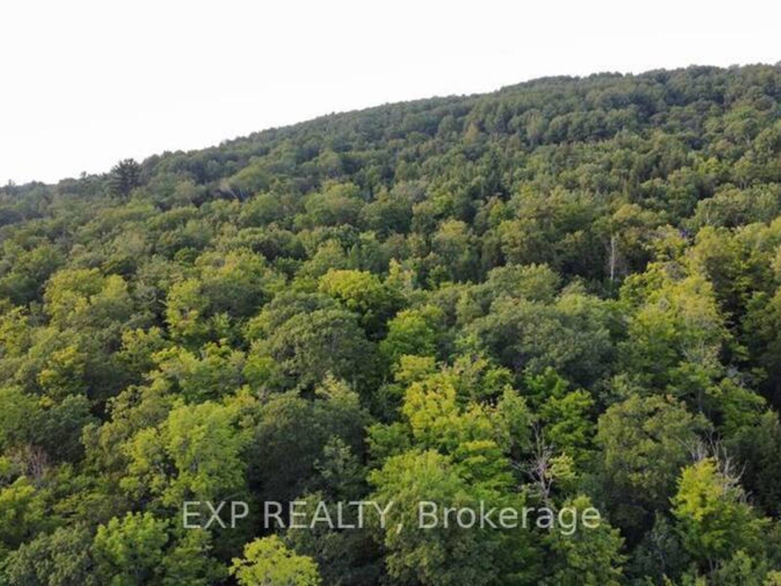 LOT C PARCHER ROAD, Madawaska Valley, Ontario K0J 1B0