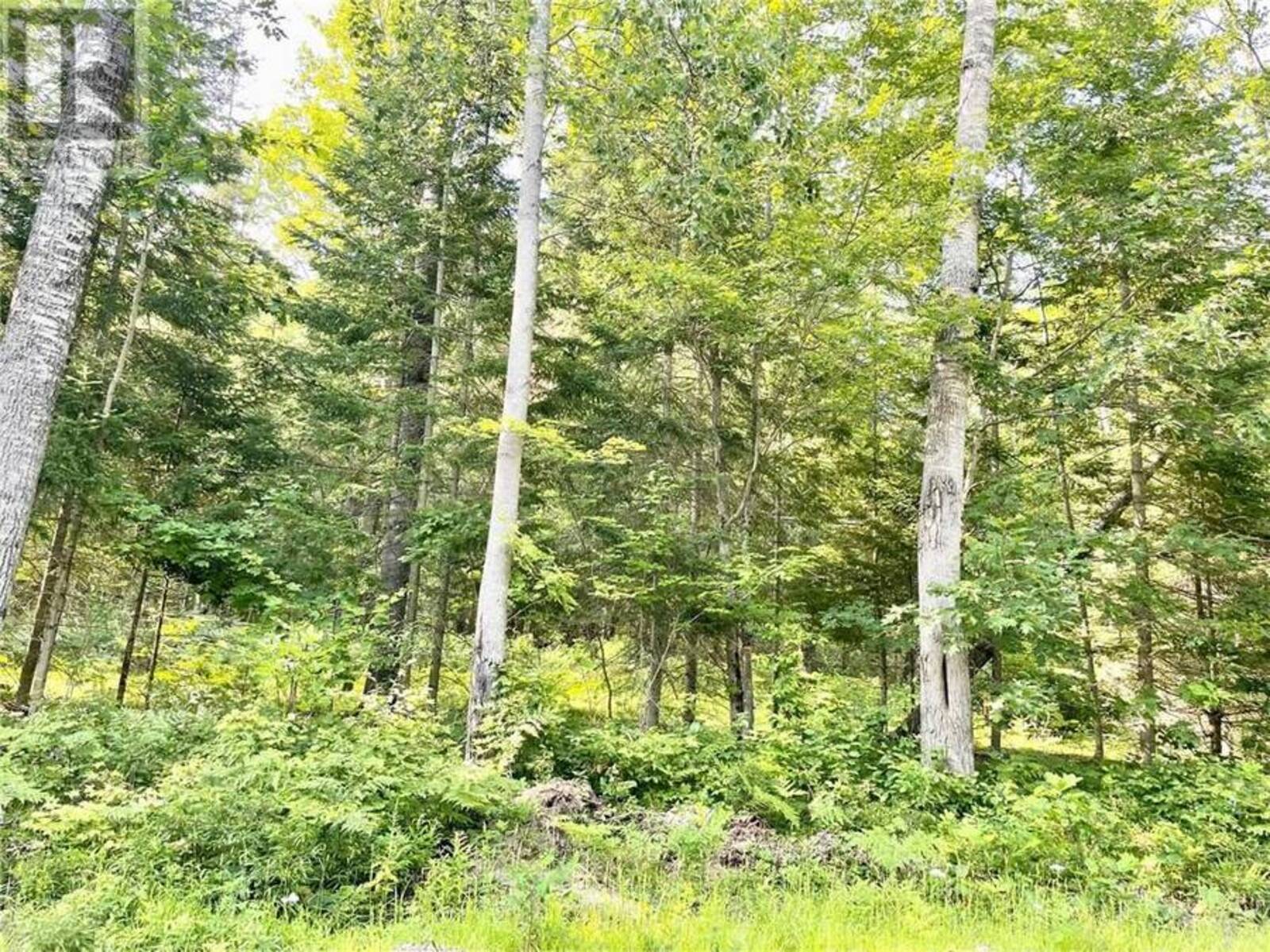 Lot A CHIPPAWA ROAD, Barrys Bay, Ontario K0J 1B0