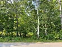 Lot B CHIPPAWA ROAD | Barrys Bay Ontario | Slide Image One