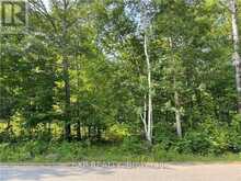 LOT B CHIPPAWA ROAD | Madawaska Valley Ontario | Slide Image One