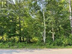 LOT B CHIPPAWA ROAD Madawaska Valley Ontario, K0J 1B0