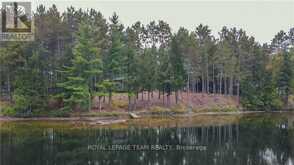 LT1,443,LT3 WEGLARZ ROAD | Madawaska Valley Ontario | Slide Image Nine