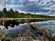 3132 FOYMOUNT ROAD | Bonnechere Valley Ontario | Slide Image Twenty