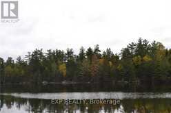 28044 HWY 41 ROAD | Madawaska Ontario | Slide Image Two