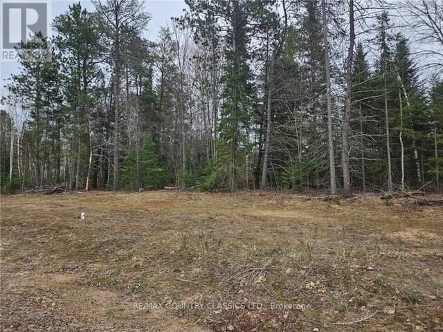 20 BIRCHVIEW DRIVE Madawaska Valley Ontario, K0J 1B0 - Vacant Land For Sale