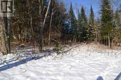 00 CALABOGIE ROAD | Greater Madawaska Ontario | Slide Image Fourteen