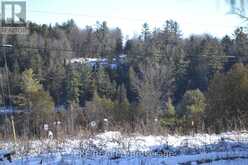 00 CALABOGIE ROAD | Greater Madawaska Ontario | Slide Image Fifteen