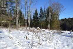 00 CALABOGIE ROAD | Greater Madawaska Ontario | Slide Image Eighteen