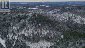 00 MARTIN RECOSKIE ROAD | Madawaska Valley Ontario | Slide Image Nine