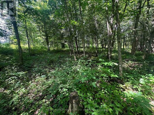 0 MOUNT ST PATRICK ROAD Greater Madawaska Ontario, K0J 1N0 - Vacant Land For Sale