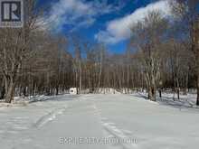 110 HORSHOE LANE | Madawaska Valley Ontario | Slide Image Three