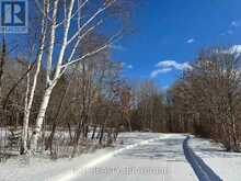 110 HORSHOE LANE | Madawaska Valley Ontario | Slide Image Five