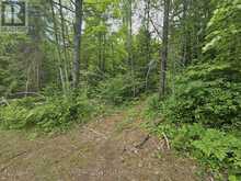 LOT B OTTER LAKE RAILBED LANE | Madawaska Valley Ontario | Slide Image Three