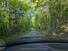 LOT A OTTER LAKE LANE | Madawaska Valley Ontario | Slide Image Two