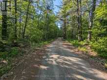 LOT A OTTER LAKE LANE | Madawaska Valley Ontario | Slide Image Three