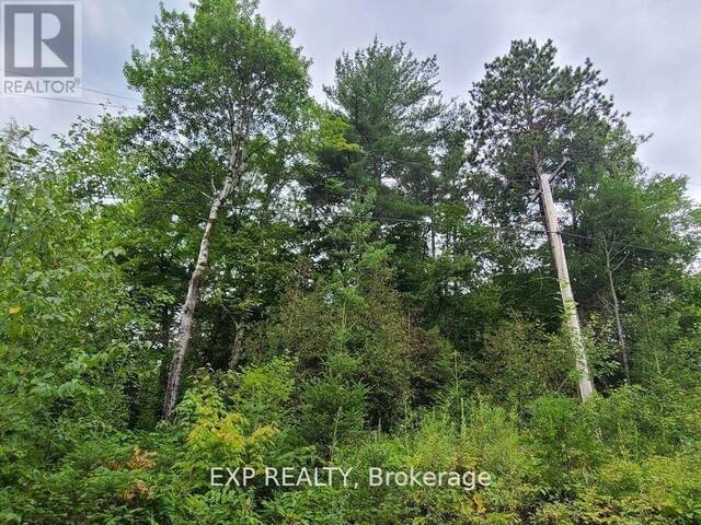 20 PEPLINSKI HOMESTEAD ROAD Madawaska Valley Ontario, K0J 2N0 - Vacant Land For Sale