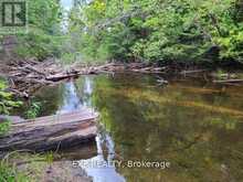 PT LT 8 OLD BARRYS BAY ROAD | Madawaska Valley Ontario | Slide Image Five