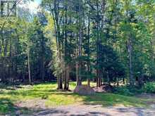 63 ANNIE MAYHEW ROAD | Madawaska Valley Ontario | Slide Image Five
