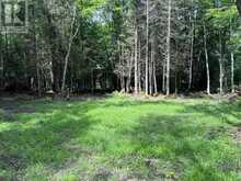 63 ANNIE MAYHEW ROAD | Madawaska Valley Ontario | Slide Image Six