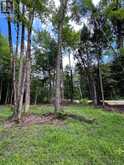 63 ANNIE MAYHEW ROAD | Madawaska Valley Ontario | Slide Image Seven