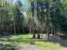 63 ANNIE MAYHEW ROAD | Madawaska Valley Ontario | Slide Image Nine