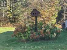 5490 LOOP ROAD | Highlands East Ontario | Slide Image Forty-six