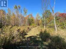 0 MINNIE ROAD | Eganville Ontario | Slide Image Thirty-four