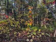 LOT 0 BELLAMY ROAD | Lanark Highlands Ontario | Slide Image Two