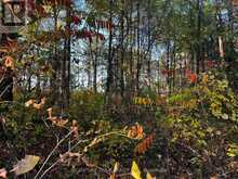 LOT 0 BELLAMY ROAD | Lanark Highlands Ontario | Slide Image Three