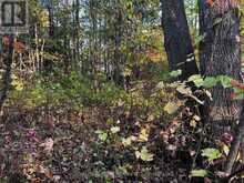 LOT 0 BELLAMY ROAD | Lanark Highlands Ontario | Slide Image Four