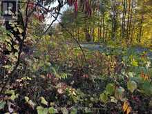 LOT 0 BELLAMY ROAD | Lanark Highlands Ontario | Slide Image Five