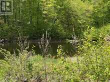 1703 MATAWATCHAN ROAD N | Greater Madawaska Ontario | Slide Image Twenty-five