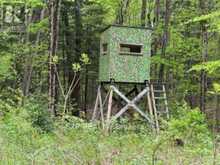 1703 MATAWATCHAN ROAD N | Greater Madawaska Ontario | Slide Image Thirty-four