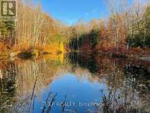 1703 MATAWATCHAN ROAD N | Greater Madawaska Ontario | Slide Image Thirty-seven
